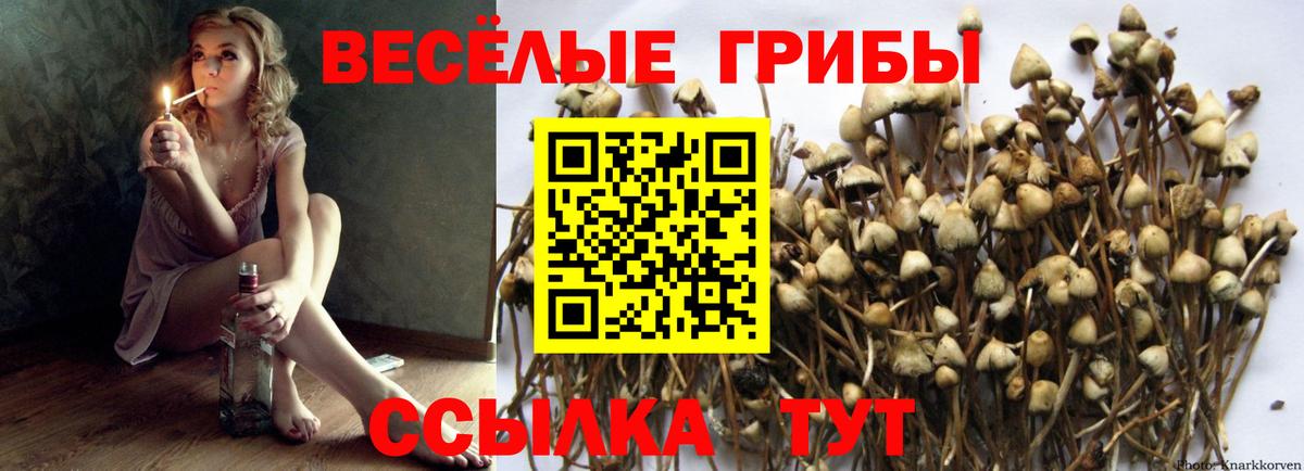 Галлюциногенные грибы ЛСД  Вход с VPN  наркота  Серов  Галлюциногенные грибы GOLDEN TEACHER 